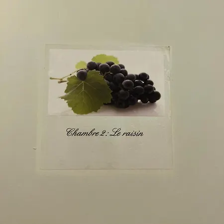 게스트하우스 Le Medoc De Clemence 3*