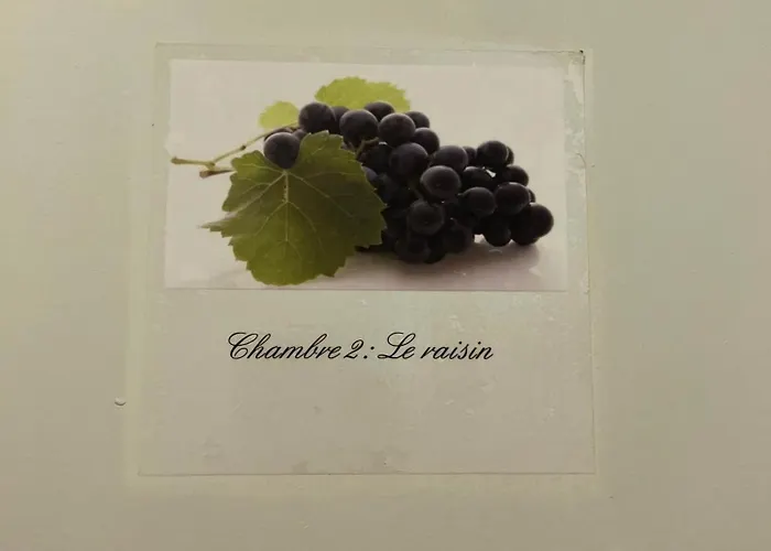 Gæstehus Le Medoc De Clemence 3*
